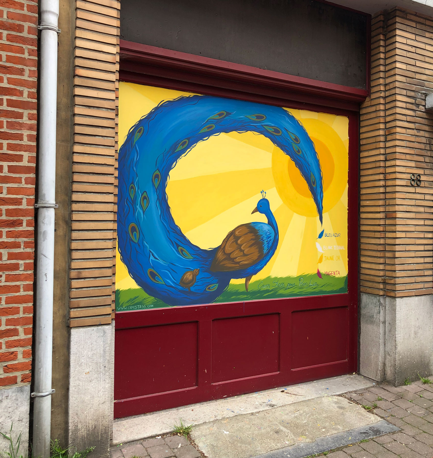 Paon pour Paon-Lin, Acrylique, Bruxelles, 2021
